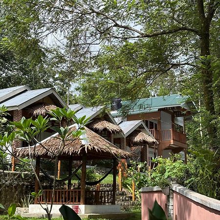 Asim Paris Guesthouse & Jungle Trekking Bukit Lawang Eksteriør billede