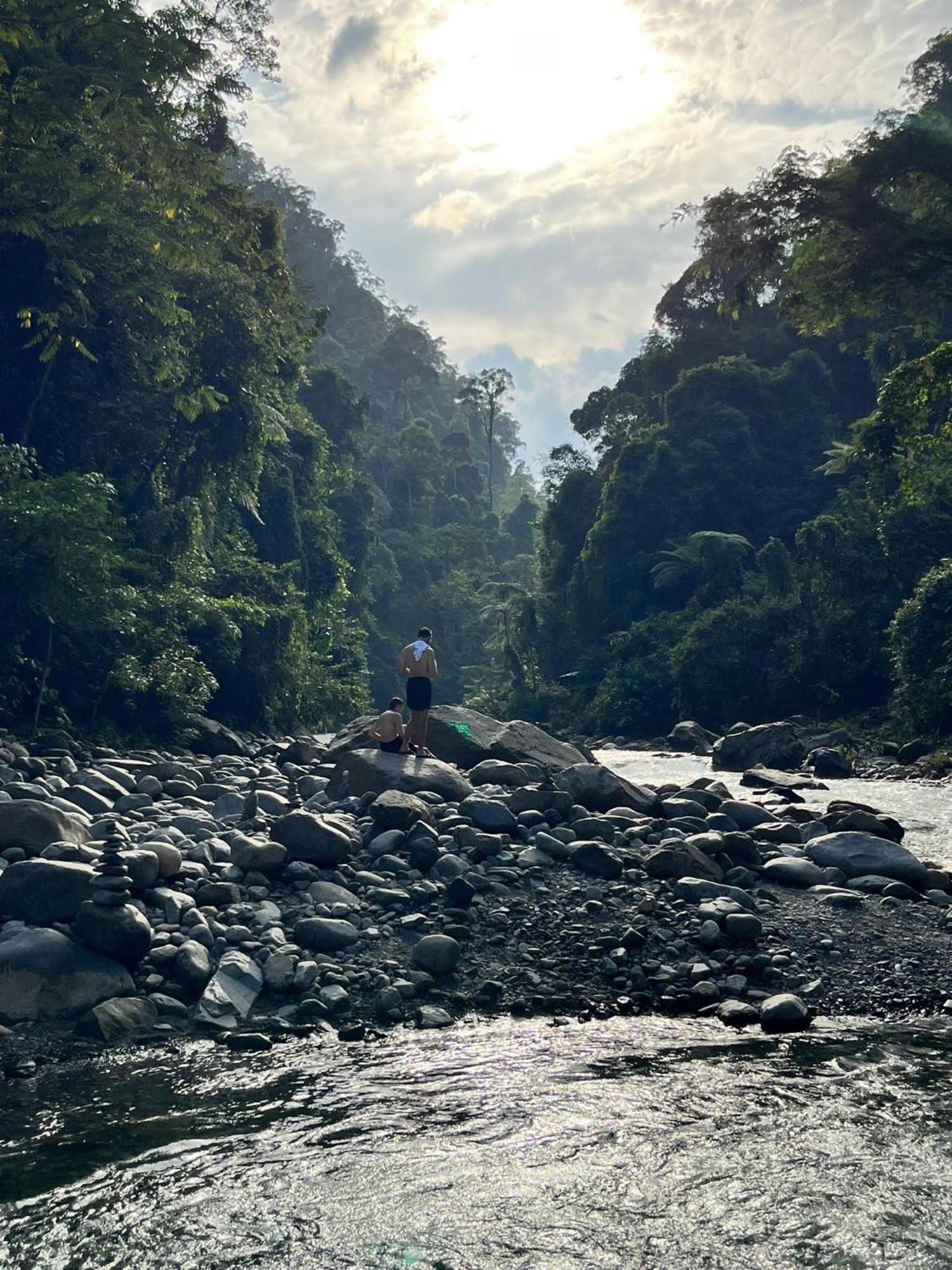 Asim Paris Guesthouse & Jungle Trekking Bukit Lawang Eksteriør billede