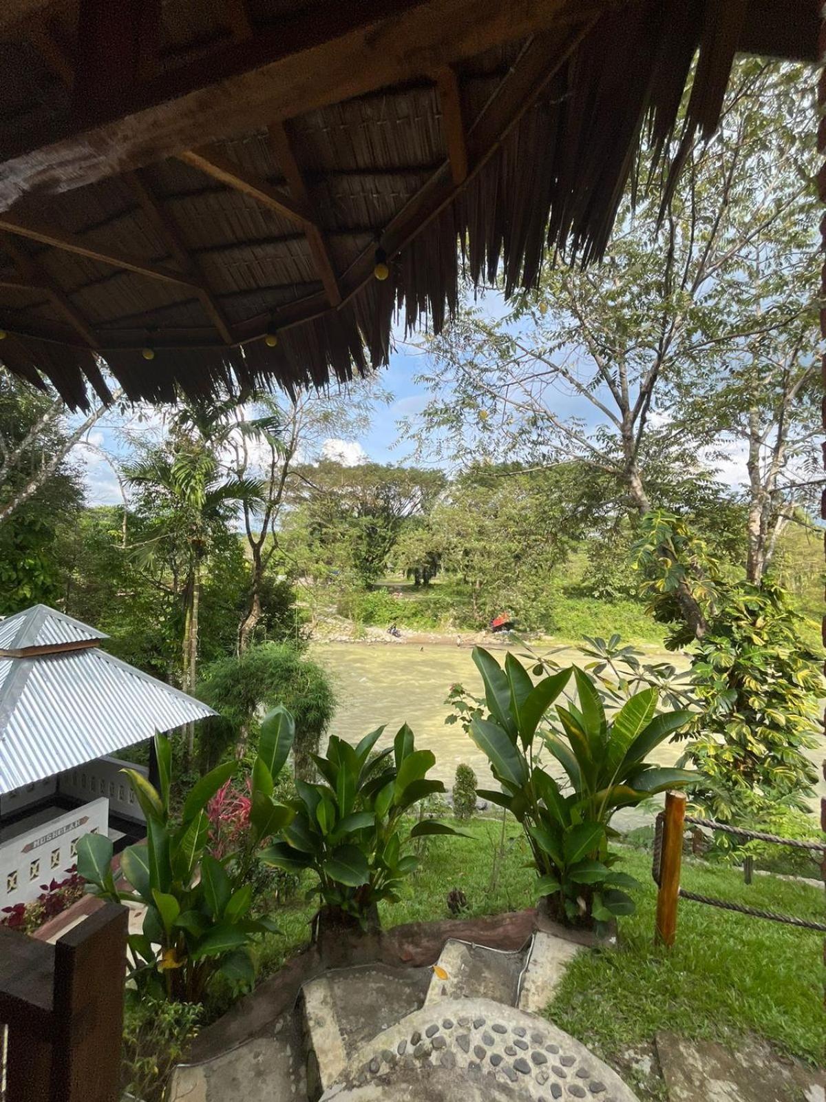Asim Paris Guesthouse & Jungle Trekking Bukit Lawang Eksteriør billede