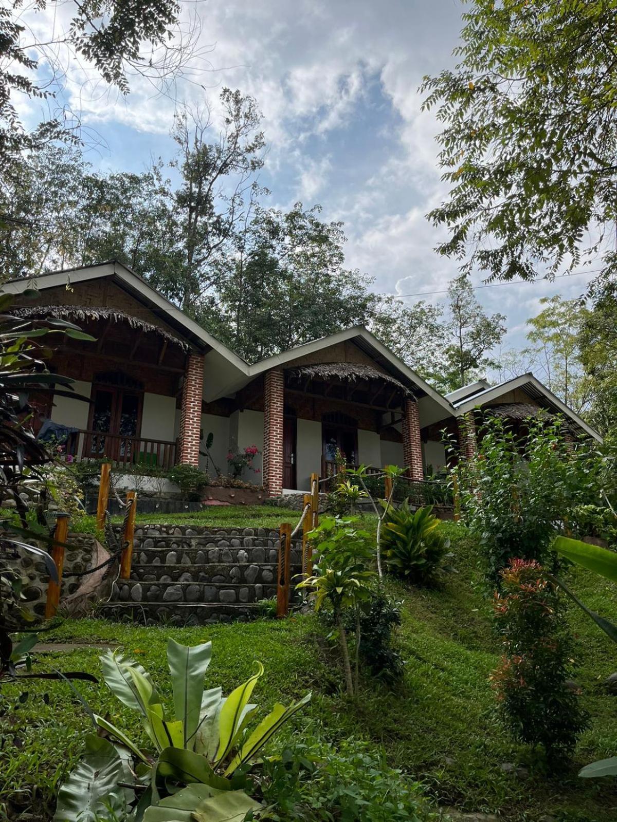 Asim Paris Guesthouse & Jungle Trekking Bukit Lawang Eksteriør billede