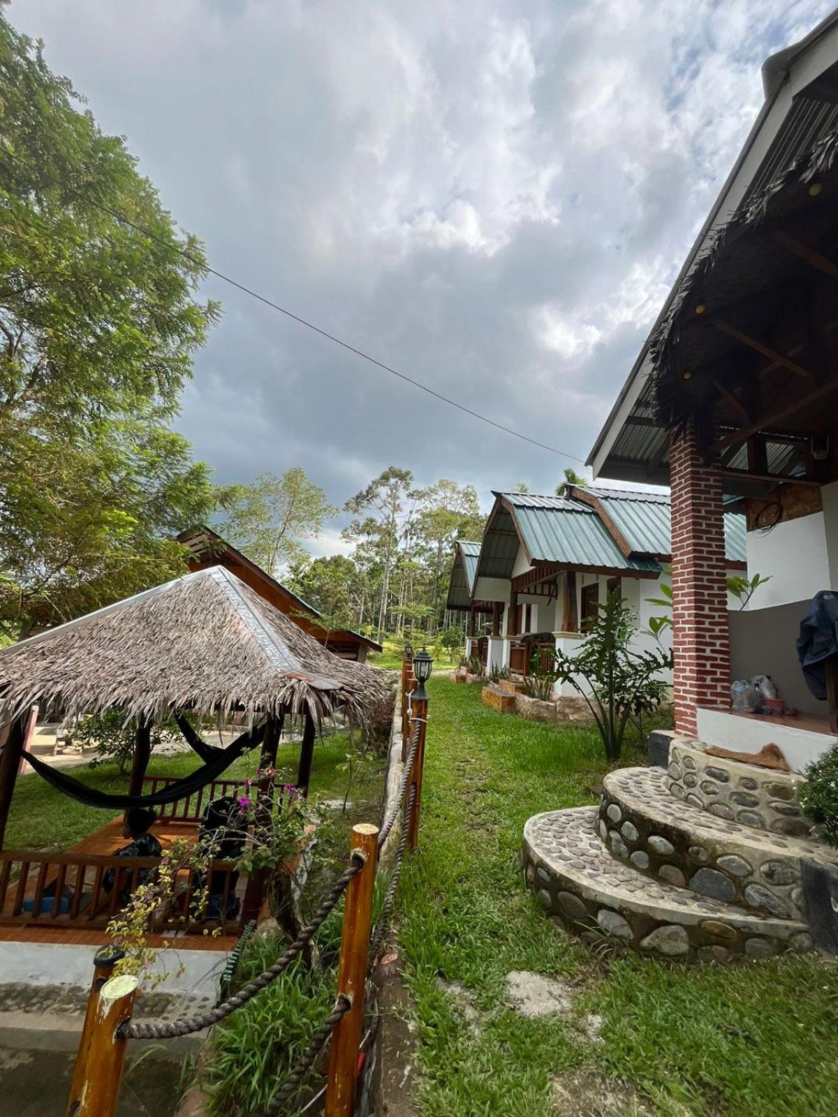 Asim Paris Guesthouse & Jungle Trekking Bukit Lawang Eksteriør billede