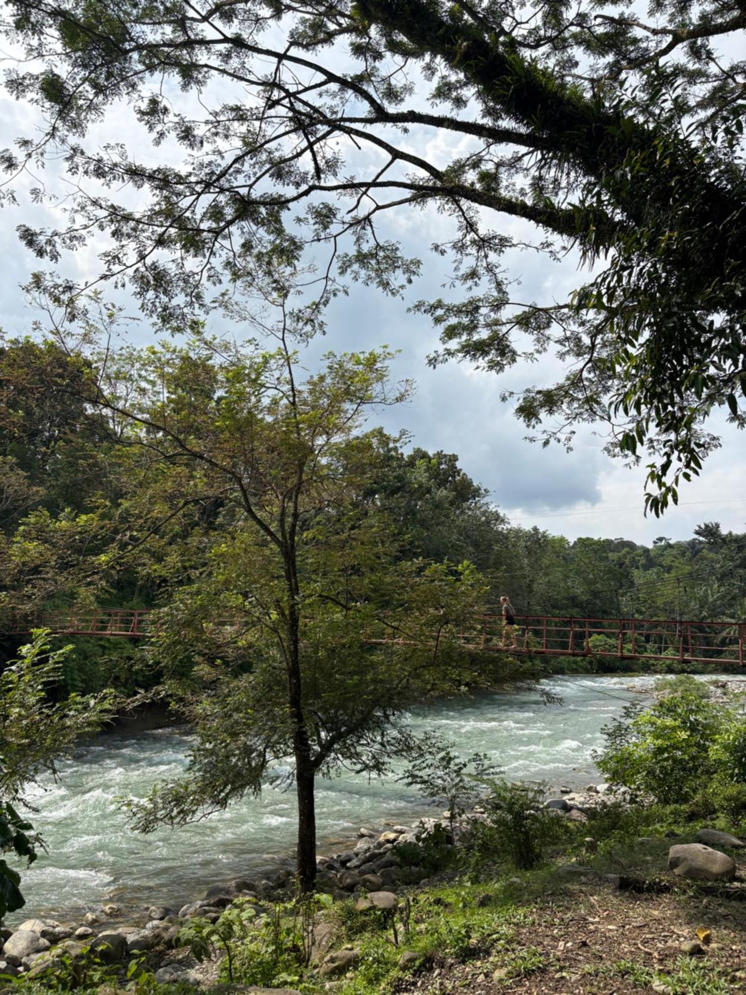 Asim Paris Guesthouse & Jungle Trekking Bukit Lawang Eksteriør billede