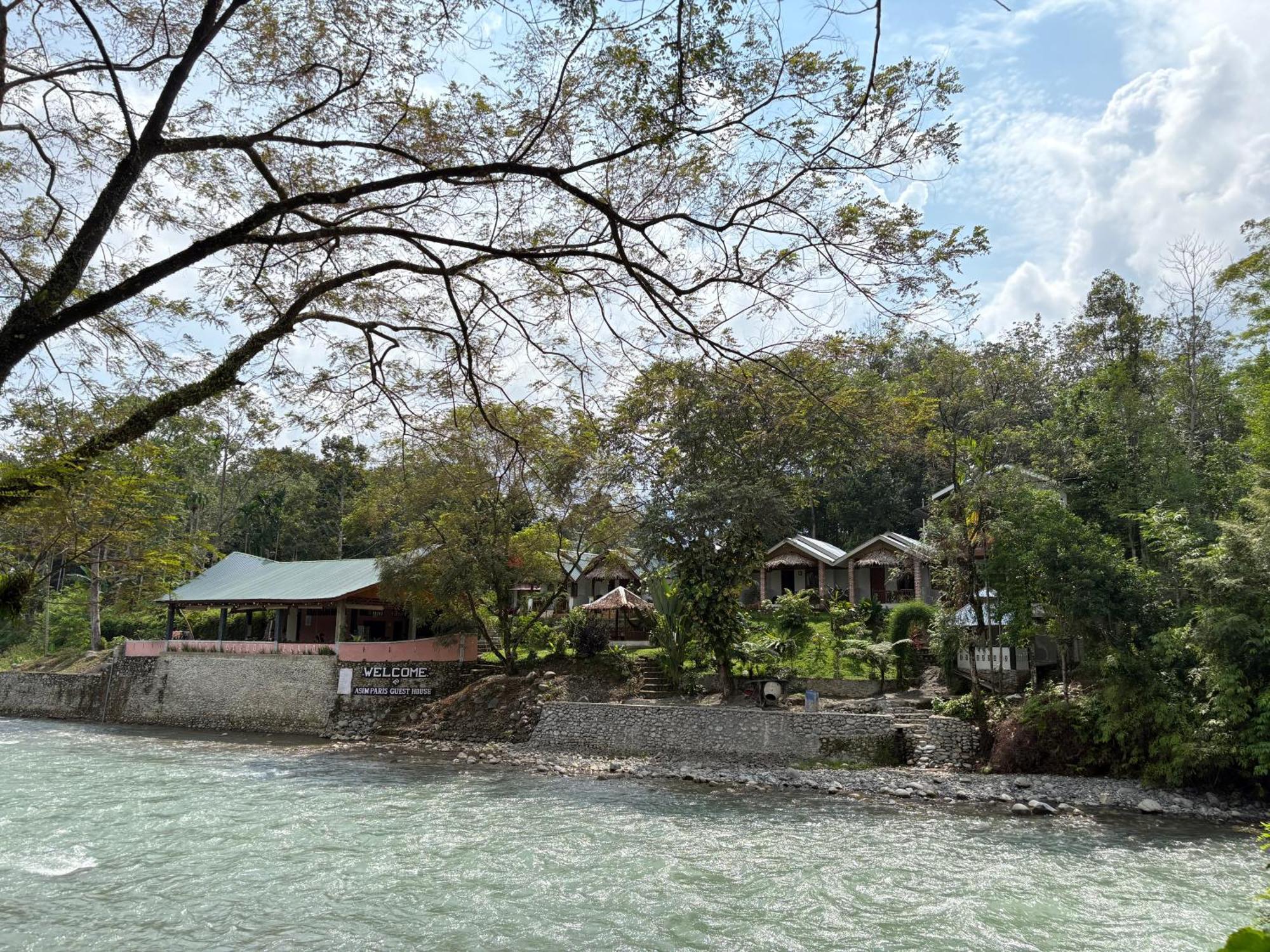 Asim Paris Guesthouse & Jungle Trekking Bukit Lawang Eksteriør billede