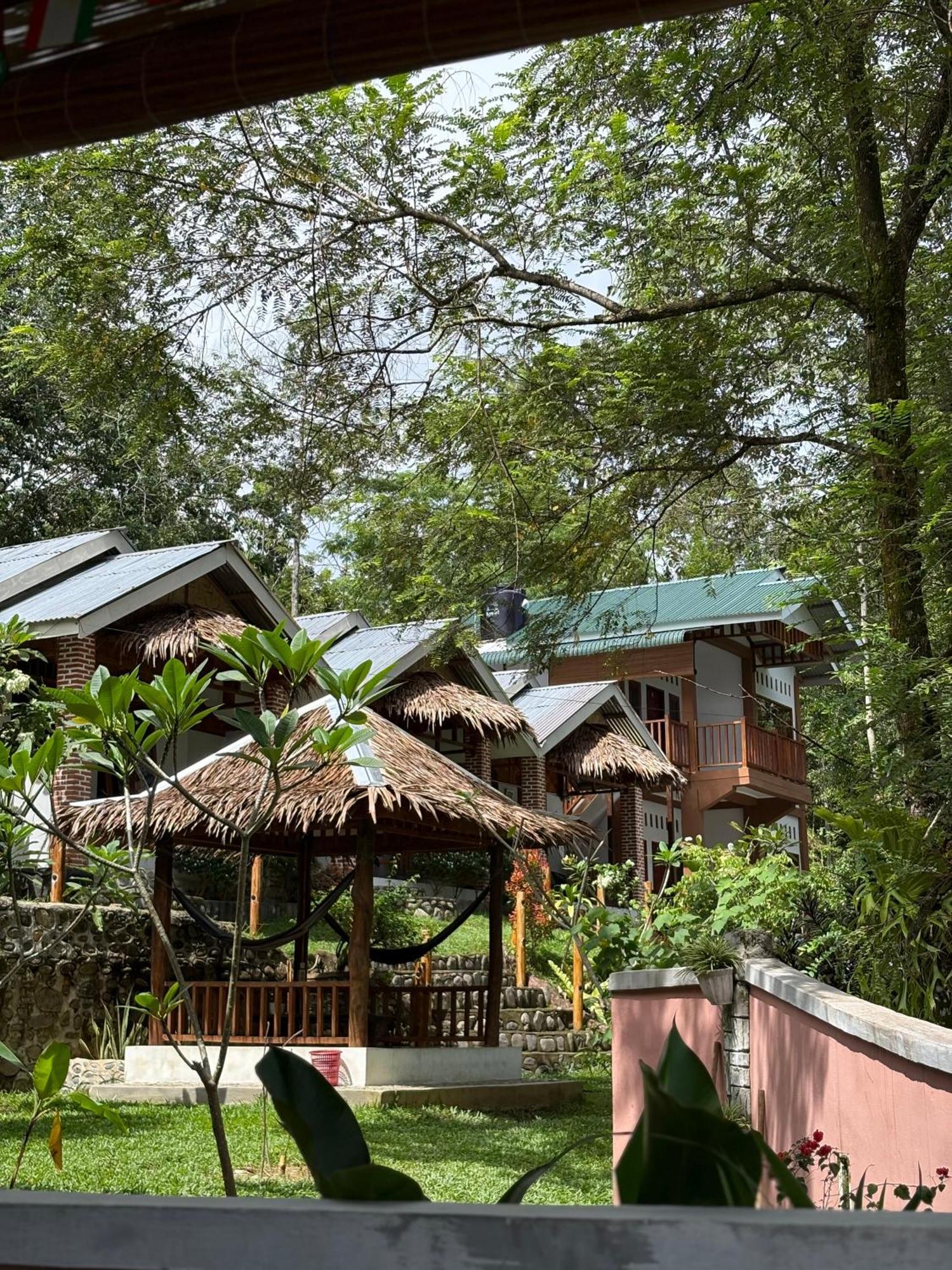 Asim Paris Guesthouse & Jungle Trekking Bukit Lawang Eksteriør billede